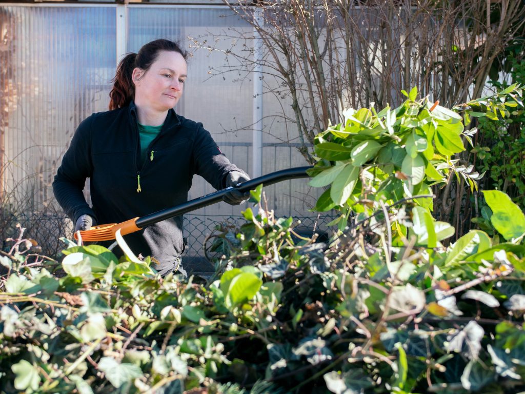 Professionelle Gartenpflege und Pflanzenversorgung für den dauerhaften Erhalt einer schönen Gartenanlage
